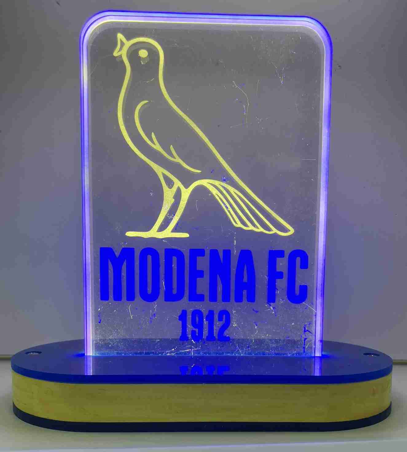 Realizzazione LedArt Modena FC